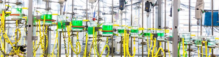 Équipement d'hydrométallurgie pour recycler des batteries